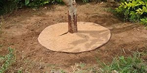Coco Peat Tree Mat