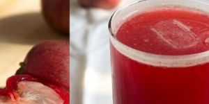 Kokam Juice Sharbat