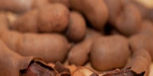 Sweet Tamarind