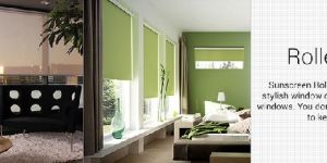 Window Roller Blinds