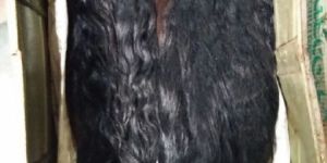 Remy Single Drawn Hair