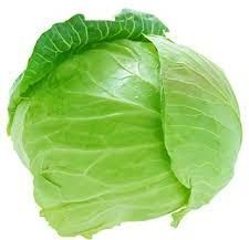 Fresh Cabbage