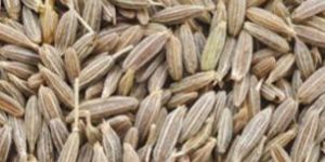Cumin Seeds