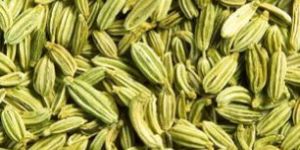 Fennel Seeds
