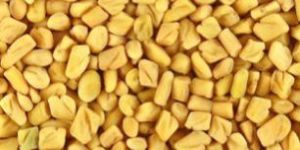 Fenugreek Seeds