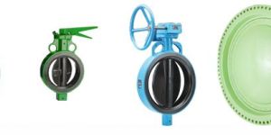 Butterfly and Check Valves