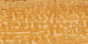 Ita Gold Marble
