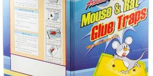 Mouse Glue Board