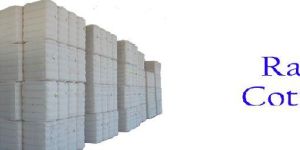 Raw Cotton