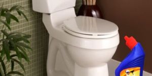 Toilet Cleaner