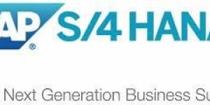 Sap Business Solutions Services