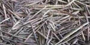 Dry Drum Stick