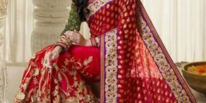 Bikaner Saree