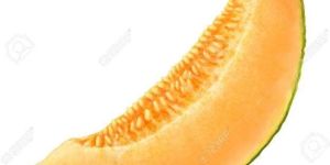 Melon Slice