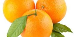 Orange (Malda Nagpur)