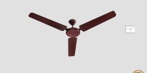Ceiling Fans