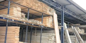 Wooden Planks And Casuarinas Poles