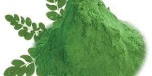 Moringa Powder