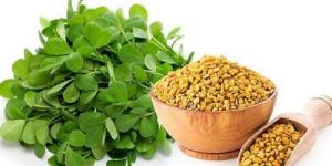 Fenugreek Leaves