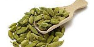 Green Cardamom