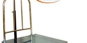 Stainless Steel Platform Scales