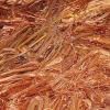 Copper Scrap