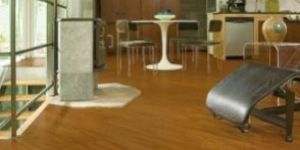 Vinyl Flooring