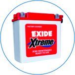 Exide Tubular Batteries