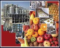 Vegetable Processing Machines