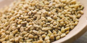 Fenugreek Seeds
