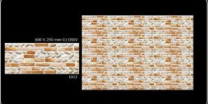 Top Qulity Ceramic Wall Tiles 1012
