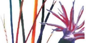 Electrical Cables