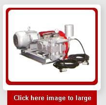 Triple Plunger Car Washer