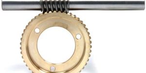 Worm Gear