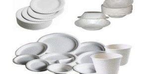 Disposable Dinnerware