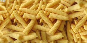 Baby Corn