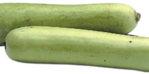 Bottle Gourd