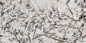 WHITE GIMMER Granite