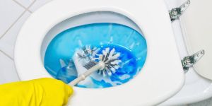Toilet Bowl Cleaner
