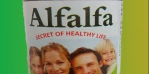 Alfalfa Powder