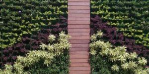 VERTICAL WALL GARDENING
