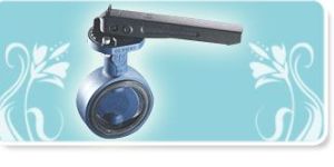 Butterfly Valve