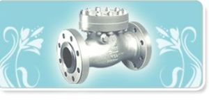 Check Valve