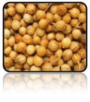 Coriander Seed