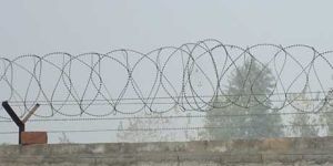 Punched Taped Concertina Coil