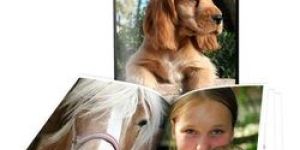 GLOSS AND MATT PAPER