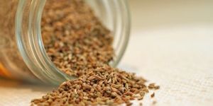 Ajwain Oil