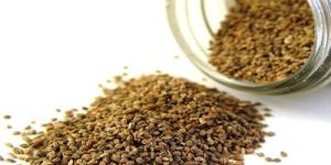 Celery Seed Oil