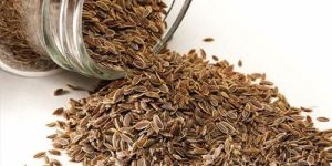 Dill Seed Oil