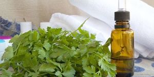 Parsley Seed Oil